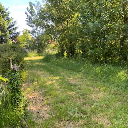 Du Moulin De La Motte