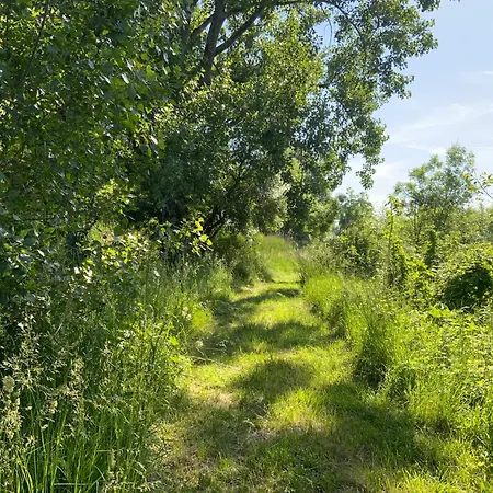 بيت للعطل Du Moulin De La Motte *