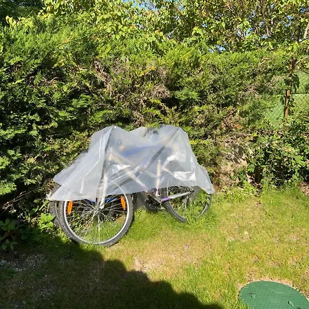 Du Moulin De La Motte بيت للعطل Lignieres-Ambleville