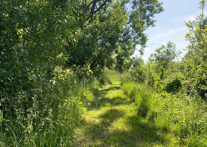 Hébergement de vacances Du Moulin De La Motte *